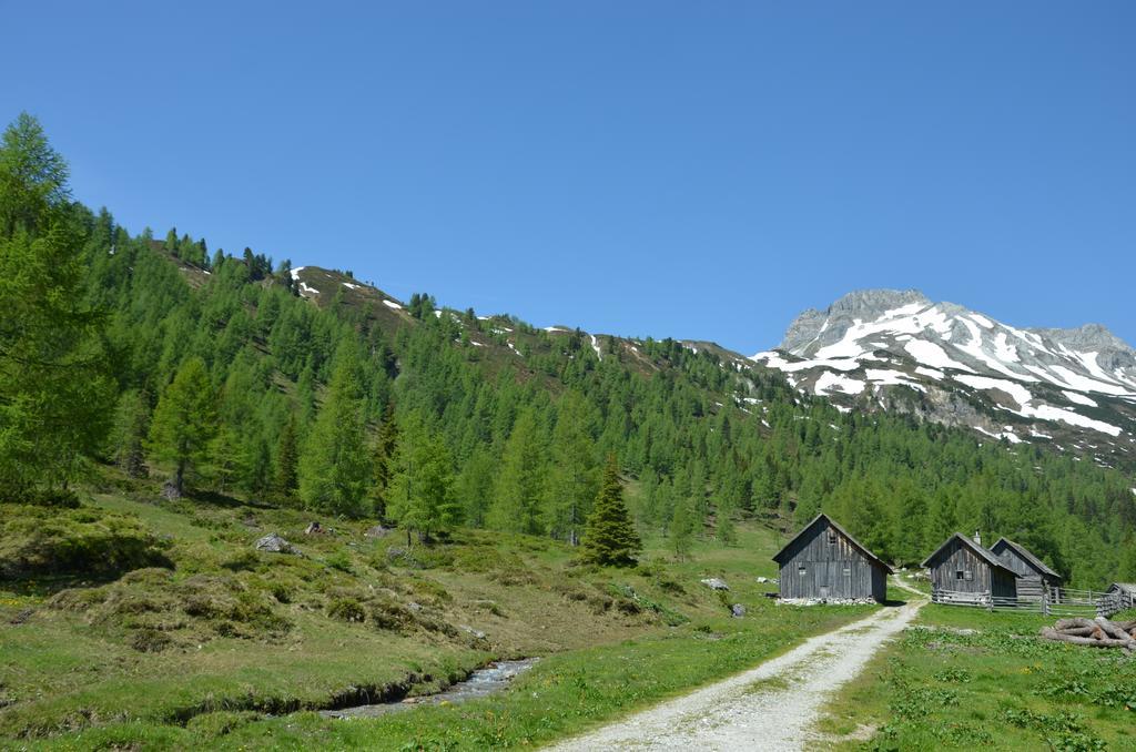 Urlaub Am Kraeutlhof In Mariapfarrアパートメント 部屋 写真